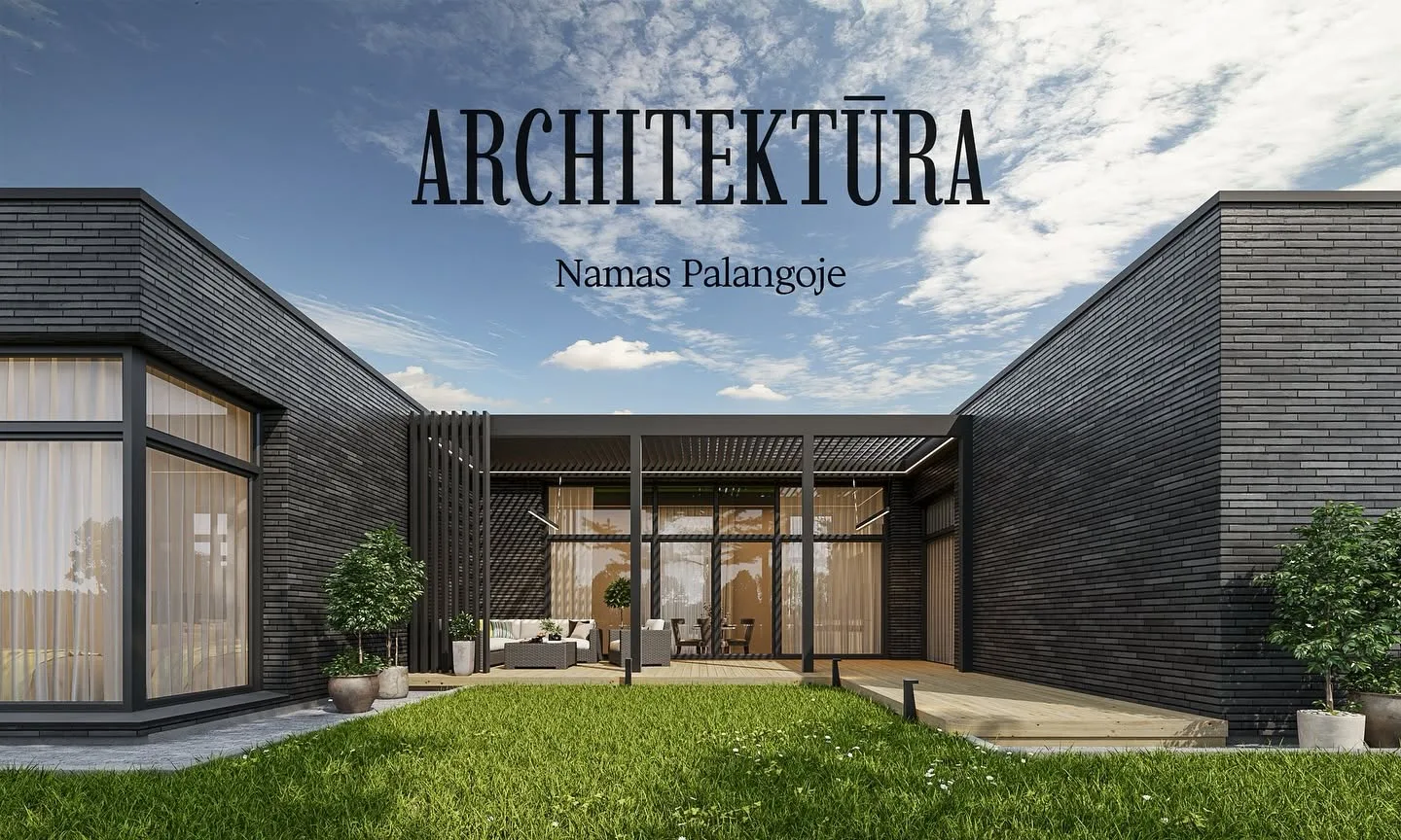 SIIN architektūros projektas